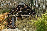 Mole Cottage - Cottage To Rent