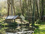 Mole Cottage - Cottage To Rent