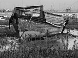 Images Of  Sussex